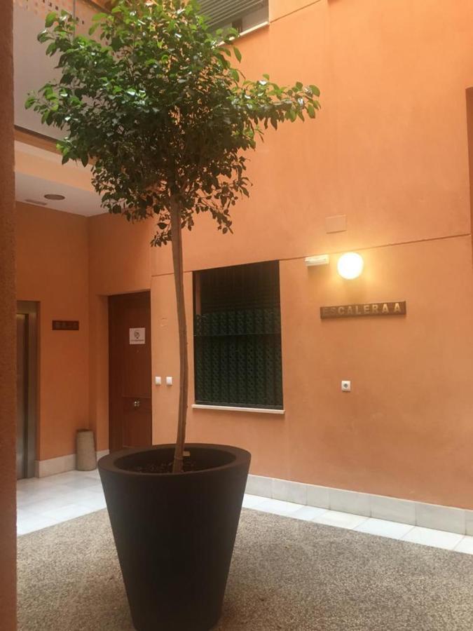 Calle Zaragoza 62, Appartement *
