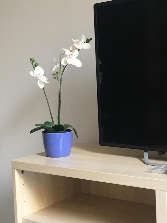 Appartement Calle Zaragoza 62, *
